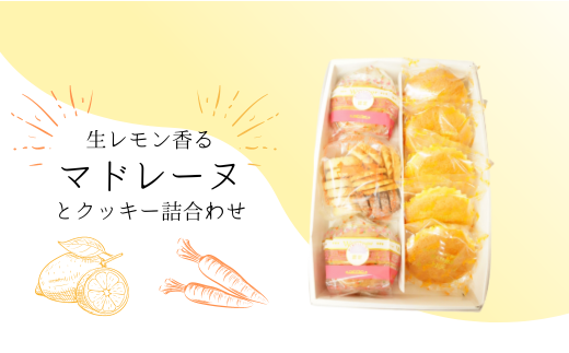 生レモン香るマドレーヌ（5個）＆クッキー2種（10枚＋1袋）詰め合わせ 590372 - 千葉県習志野市