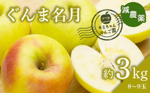 2023年秋発送 減農薬 りんご ぐんま名月 約3kg （8～9玉） 甘い リンゴ 果物 希少 お取り寄せ 贈答品 ギフト F4H-0130