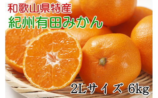 秀品]和歌山有田みかん6kg(3Lサイズ) ※2024年11月中旬～2025年1月中旬