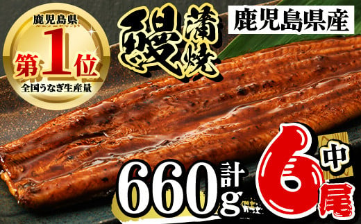 鹿児島県産 うなぎ蒲焼 大 4尾セット 鰻蒲焼 計約560g(約140g×4尾