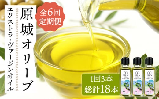 【6回定期便】 原城 オリーブ エクストラ・ヴァージンオイル  100ml 3本 / オリーブオイル オイル 油 調味料 / 南島原市 / ミナサポ [SCW058] 901789 - 長崎県南島原市