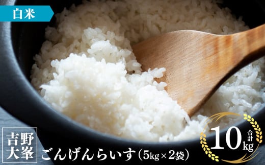 【定期便】奈良のお米のお届け便　5kg×3ヵ月連続 計15kg 白米 905588 - 奈良県吉野町