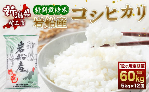 E4027 【令和5年産米】特別栽培米 新潟県岩船産 コシヒカリ 60kg（5kg