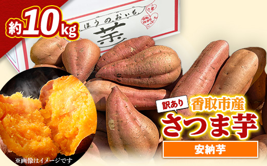 訳あり＞香取市産 さつまいも 安納芋 約10kg 焼き芋 や スイートポテト ...
