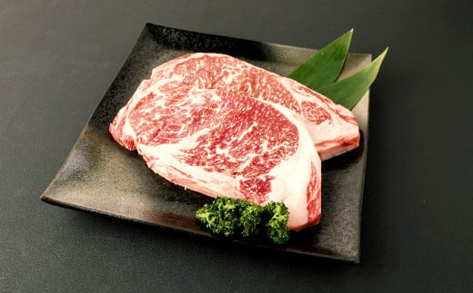 あか牛 サーロイン ステーキ 400g(200g×2枚)  肉 お肉 牛肉 和牛 くまもとあか牛