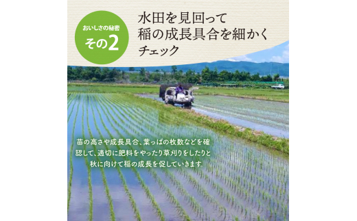 令和5年産米】※2024年4月中旬スタート※ 特別栽培米 つや姫60kg（20kg×3