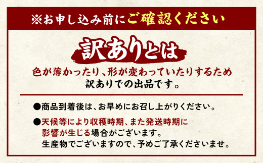 アイテムID:374063の画像3枚目