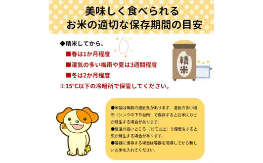 山形県三川町のふるさと納税 【令和5年産】つや姫10kg+つや姫パックライス4P