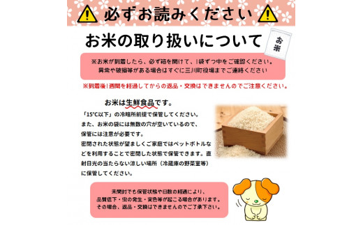 山形県三川町のふるさと納税 【令和5年産】つや姫10kg+つや姫パックライス4P