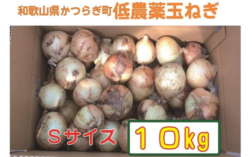 農家さん直送!低農薬玉ねぎSサイズ10kg【5月下旬~7月中旬発送予定】 902601 - 和歌山県かつらぎ町