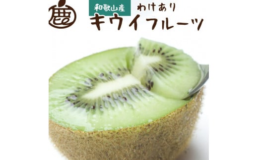 ＜11月より発送＞家庭用 キウイフルーツ2.5kg+75g（傷み補償分）【わけあり・訳あり・扁平果】