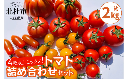 AGRIMIND 明野菜園トマト詰め合わせセット - 山梨県北杜市｜ふるさと