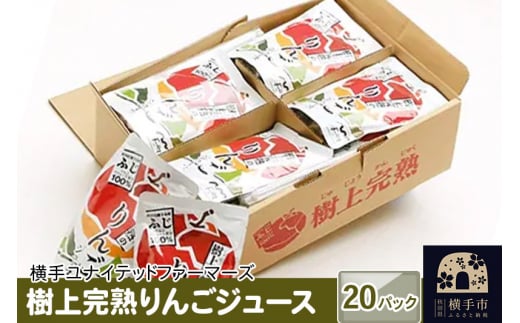 シルクポーク晩御飯お役立ち Cセット ホルモン煮込（250g×4袋） 角煮