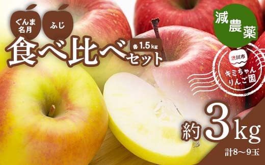 2023年秋発送 減農薬 りんご ぐんま名月とふじの食べ比べセット 約3kg （8～9玉） 甘い リンゴ 果物 希少 お取り寄せ 贈答品 ギフト F4H-0133