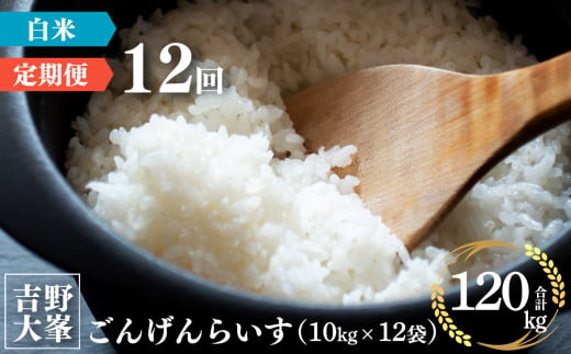 【定期便】 奈良のお米のお届け便　10kg×1年分 （12回） 398625 - 奈良県吉野町