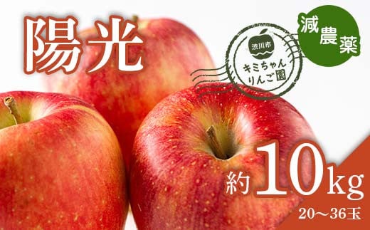 2023年秋発送 減農薬 りんご陽光 約10kg （20～36玉） 甘い リンゴ 果物 お取り寄せ 贈答品 ギフト F4H-0158