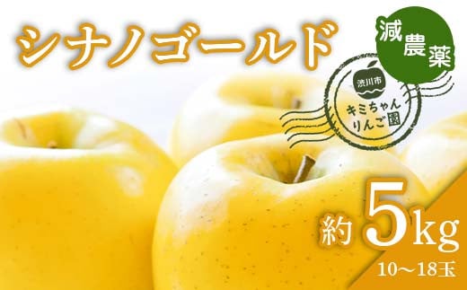 2023年秋発送 減農薬 りんご シナノゴールド 約5kg （10～18玉） 甘い リンゴ 果物 お取り寄せ 贈答品 ギフト F4H-0137