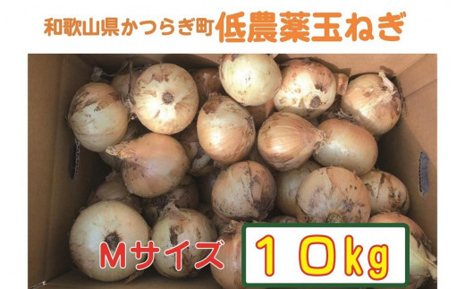 農家さん直送!低農薬玉ねぎMサイズ10kg【5月下旬~7月中旬発送予定】 902600 - 和歌山県かつらぎ町