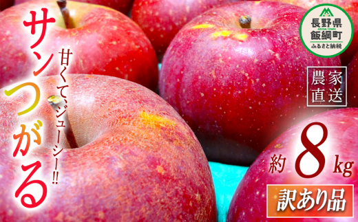 青森県産 サンつがるりんご ご予約、相談、確認ページMりんご予約 - 果物