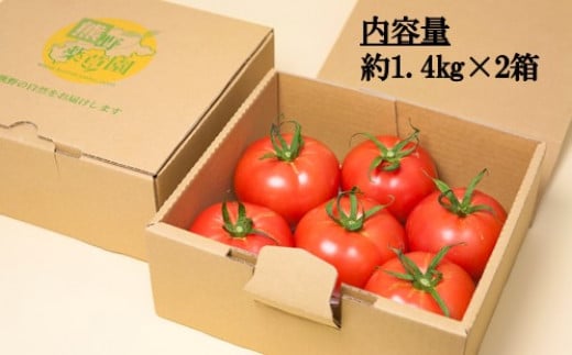 定番高品質】 熊野薬草園の 大玉トマト（1.4kg×2箱）：三重県熊野市