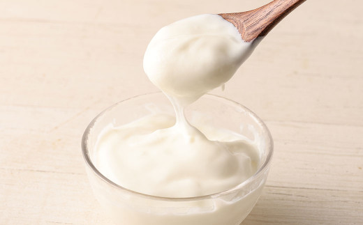 「球磨の恵み ヨーグルト 」 加糖・砂糖不使用 1000g×各2個 合計4個 4kg セット 乳製品