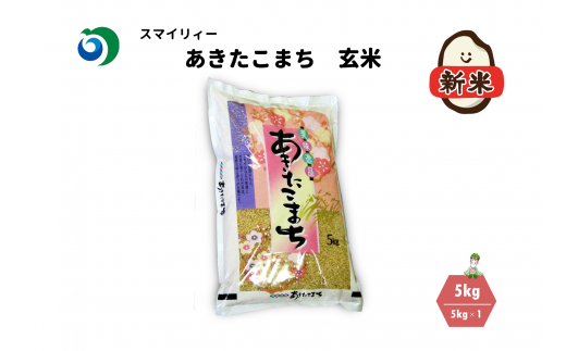 【令和5年産 新米･先行受付】あきたこまち 玄米 5kg 秋田県 能代市産 ※令和5年10月下旬より順次発送予定
