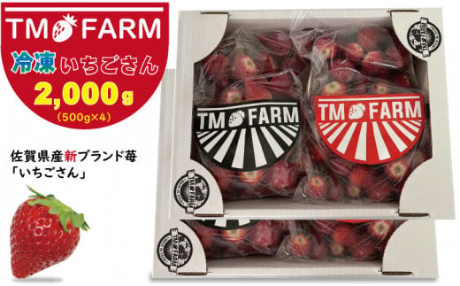 加工用冷凍 苺 佐賀ブランドいちごの（いちごさん）2kg（2,000g）TMファーム 959021 - 佐賀県小城市