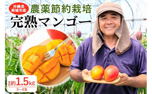 【2024年発送】沖縄県南城市産「完熟マンゴー」約1.5kg（3～4玉）◆ギフト／家庭用◆ 農家直送 農薬節約栽培