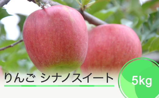 りんご シナノスイート 5kg 2023年産 ja-rissx5 899350 - 山形県大石田町