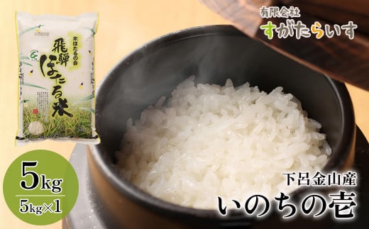 【令和5年産米】いのちの壱 5kg すがたらいす  2023年産 お米 米 精米 下呂市金山産 237687 - 岐阜県下呂市