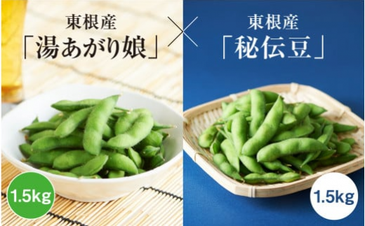 2023年枝豆「湯あがり娘」1.5kg & 「秘伝豆」1.5kg　JA提供