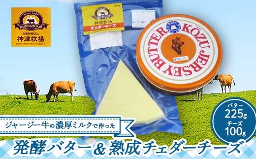 【神津牧場】ジャージー牛の濃厚ミルクで作った発酵バター1つと熟成チェダーチーズ100gセット F21K-304 934137 - 群馬県下仁田町