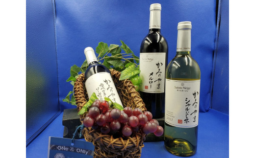 【定期便：全３回】サントネージュかみのやま産葡萄ワインとワインバスケット　0141-2331 921356 - 山形県上山市