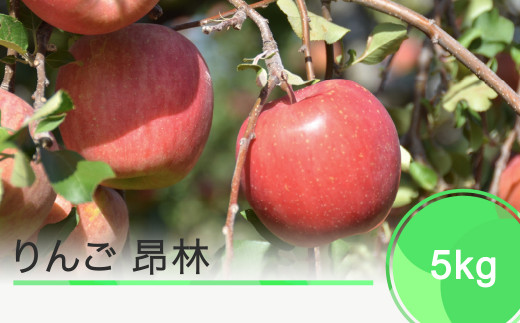りんご 昂林 5kg 2023年産 ja-rikrx5 899348 - 山形県大石田町
