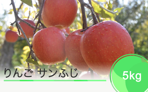 りんご サンふじ 5kg 2023年産 ja-risfx5 899349 - 山形県大石田町