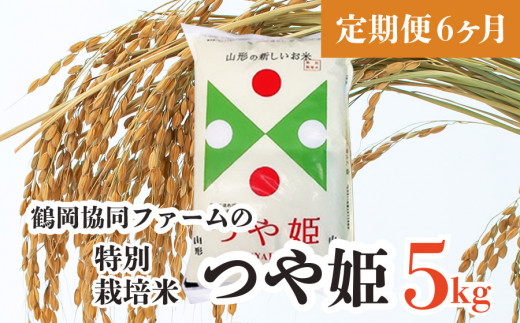 【定期便6ヶ月】【令和5年産】新米 特別栽培米つや姫5㎏（5㎏×1袋）×6ヶ月 鶴岡協同ファーム