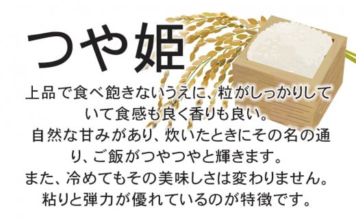 令和6年産先行予約】 特別栽培米つや姫 7kg (5kg+2kg) 山形県鶴岡産