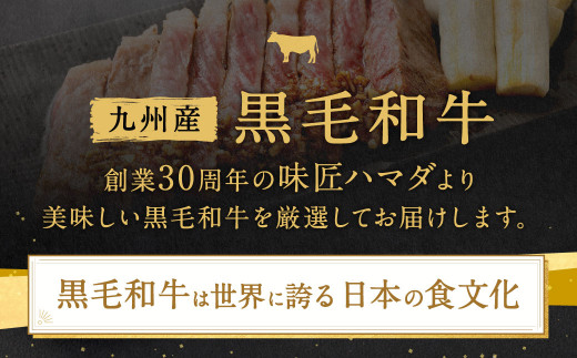【3ヶ月定期便】 九州産 黒毛和牛 サーロインステーキ 合計約1.5kg (約250g×2枚×3回)