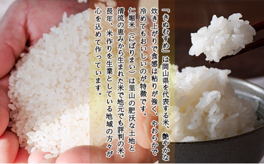 ふるさと納税 赤磐市 米 定期便 6ヶ月 きぬむすめ 10kg(5kg×2袋)岡山県
