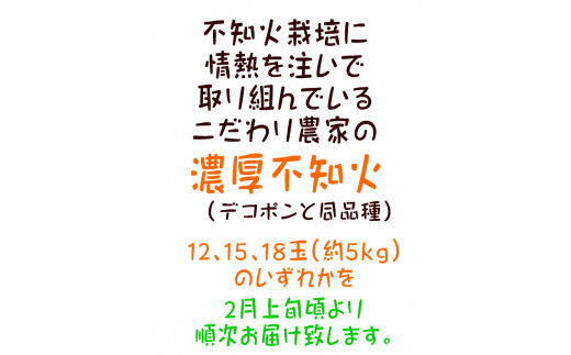 【先行予約】こだわり農家の濃厚不知火（デコポンと同品種）  12～18玉（約5kg）※2025年2月上旬～3月下旬頃に順次発送予定※北海道・沖縄・離島への配送不可