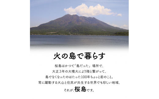 桜島つばきハンドクリーム 3本セット K062-015 - 鹿児島県鹿児島市