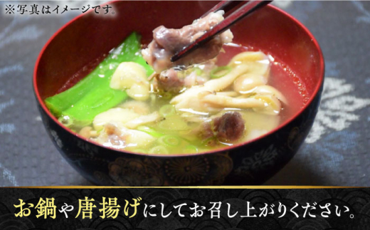 飼料に使われている江田島産オリーブの葉