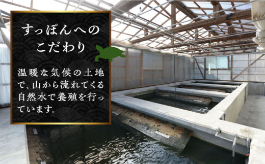 飼料に使われている小魚