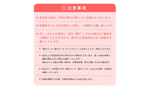 先行予約】【2023年11月中旬～】【数量限定】濃厚有田みかん（ご家庭用