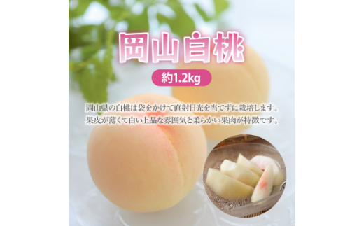 岡山白桃 約1.2kg(4~6玉)【1407727】 906923 - 岡山県津山市