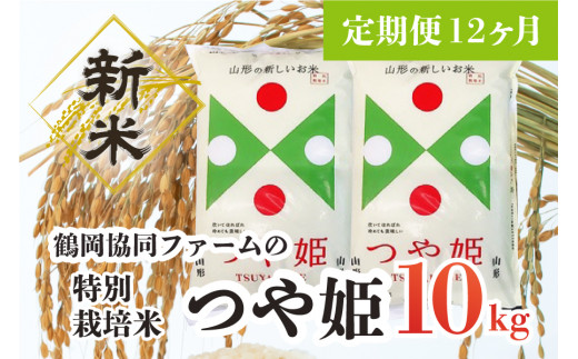 【定期便12ヶ月】【令和5年産】 新米 特別栽培米つや姫10kg(5kg×2袋)×12ヶ月 鶴岡協同ファーム 911135 - 山形県鶴岡市