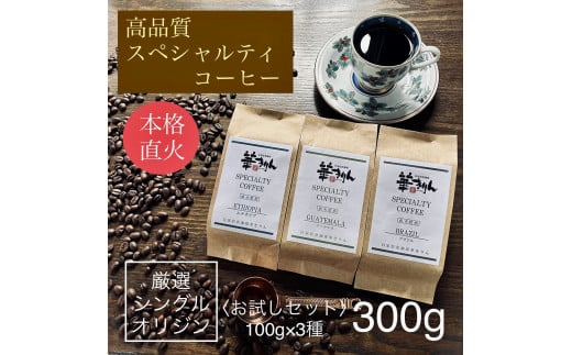 【華きりん】高品質スペシャルティコーヒー豆　厳選シングルオリジン　お試しセット100g×3種類（合計300g）
