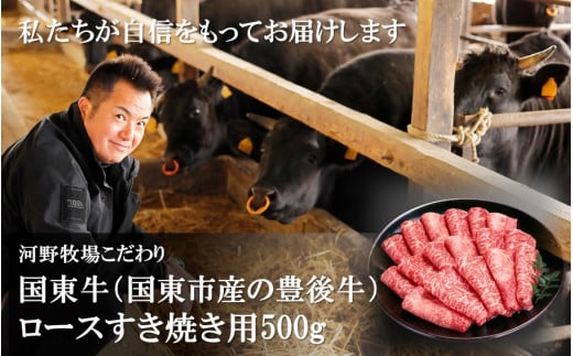 おおいた豊後牛肩肉すき焼き用500g 牛肉 お肉 お楽しみ 人気 国産 黒毛