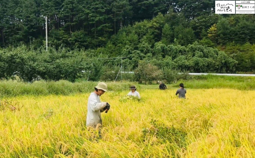 無農薬栽培米 のらくら農場で育てたお米 玄米 ４キロ〔NK-15〕栽培期間