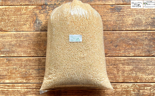無農薬栽培米　のらくら農場で育てたお米　玄米　４キロ〔NK-15〕栽培期間中、農薬・化学肥料・除草剤一切使っておりません　４ｋｇ